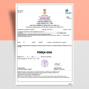 https://psaraonline.in/wp-content/uploads/2023/09/trademark-registration-300x300.webp